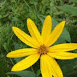 Meet your Posher, Eling